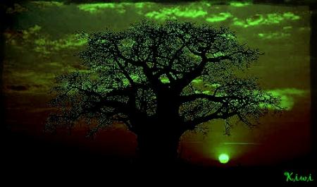 .�.�.�.